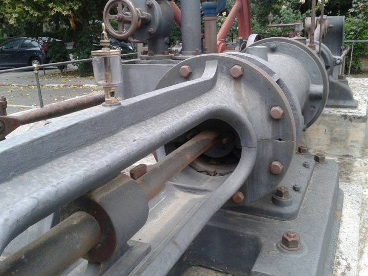 13557691_10206363043263913_7306045798591534064_n